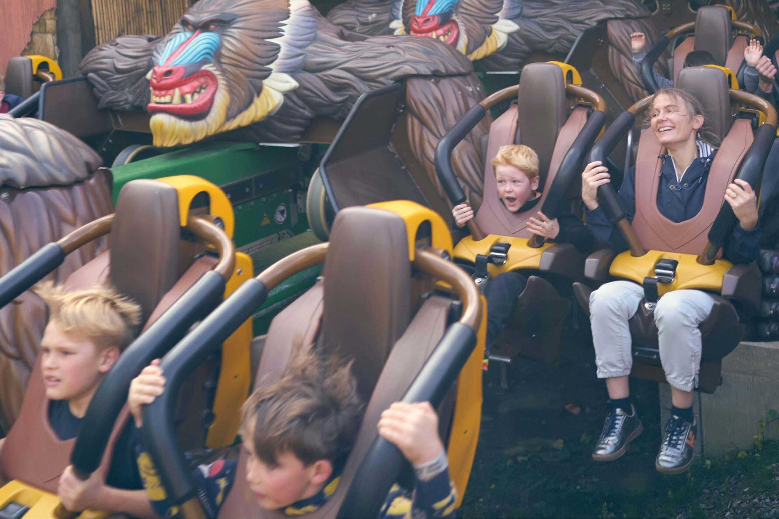 Chessington Mandrill Mayhem