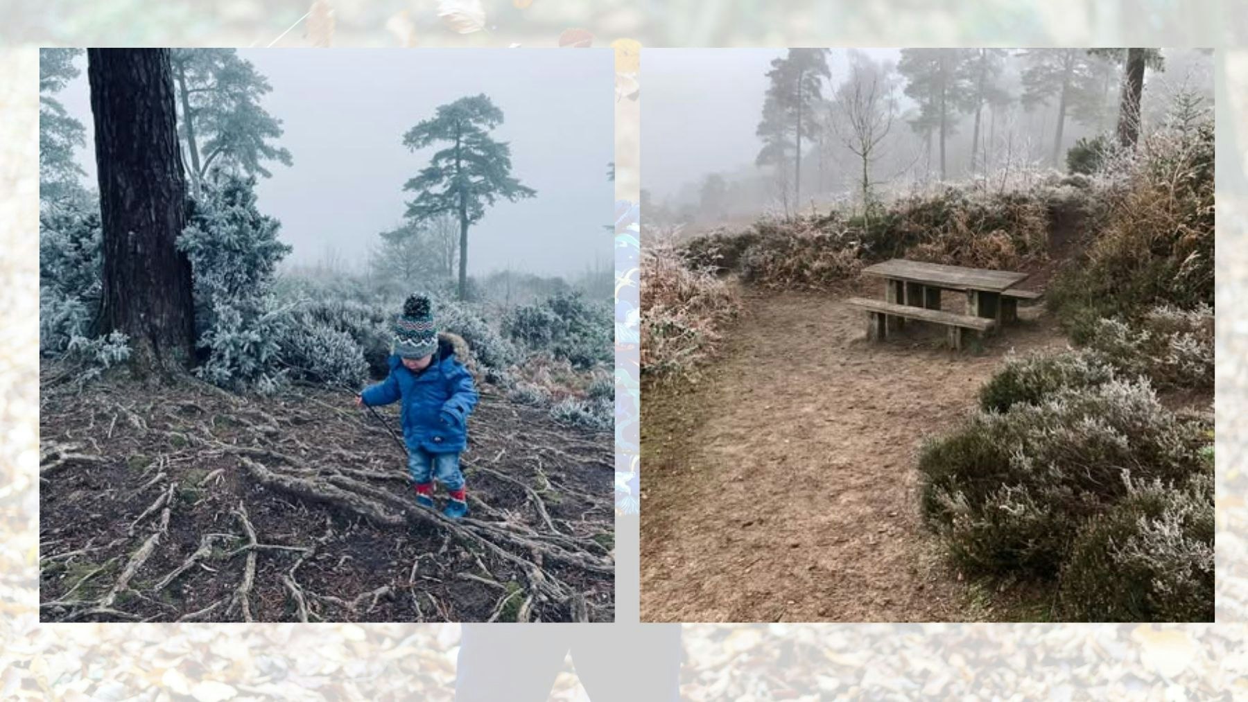 The best free winter walks with kids