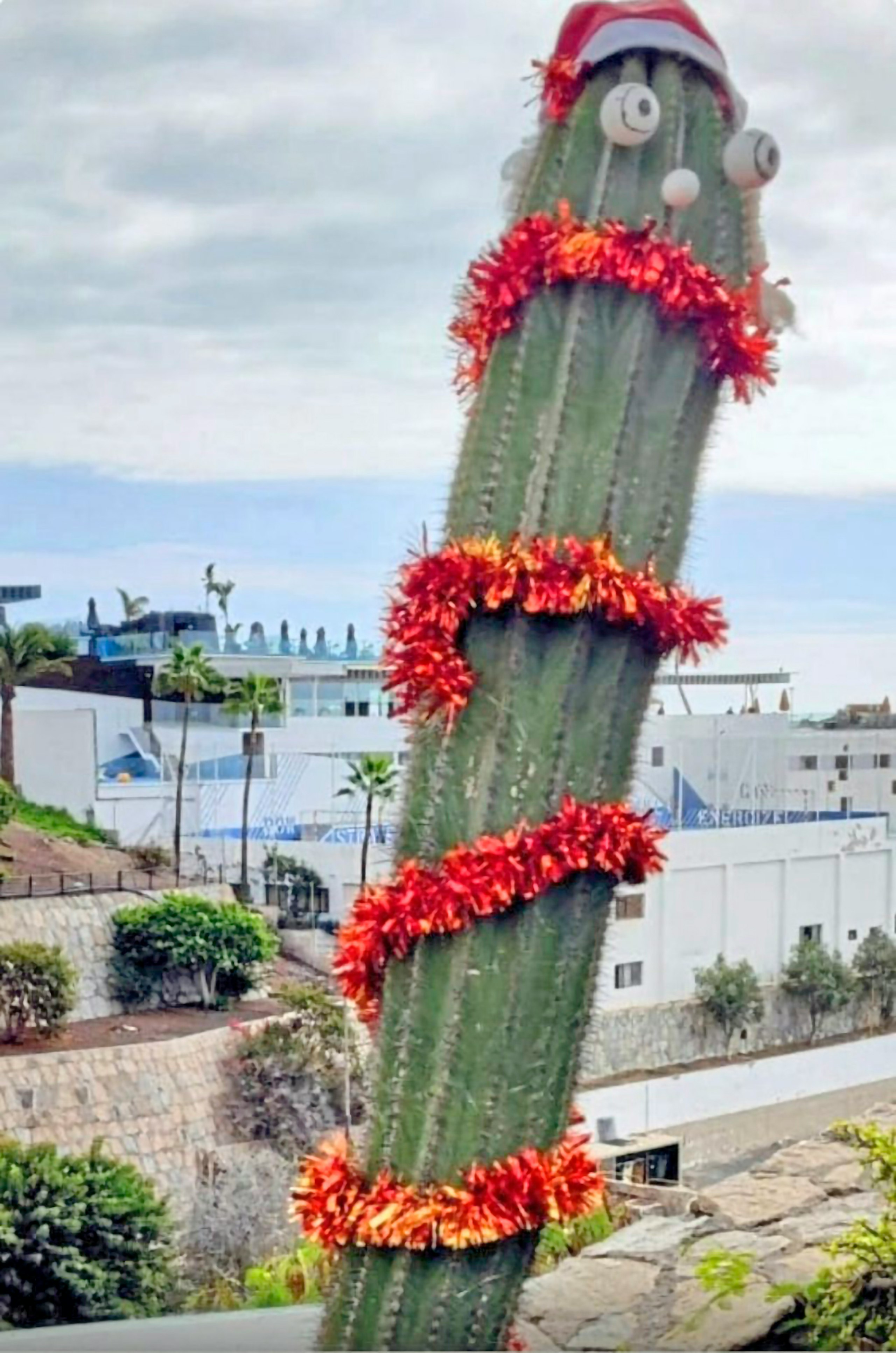 The beach in Gran Canaria