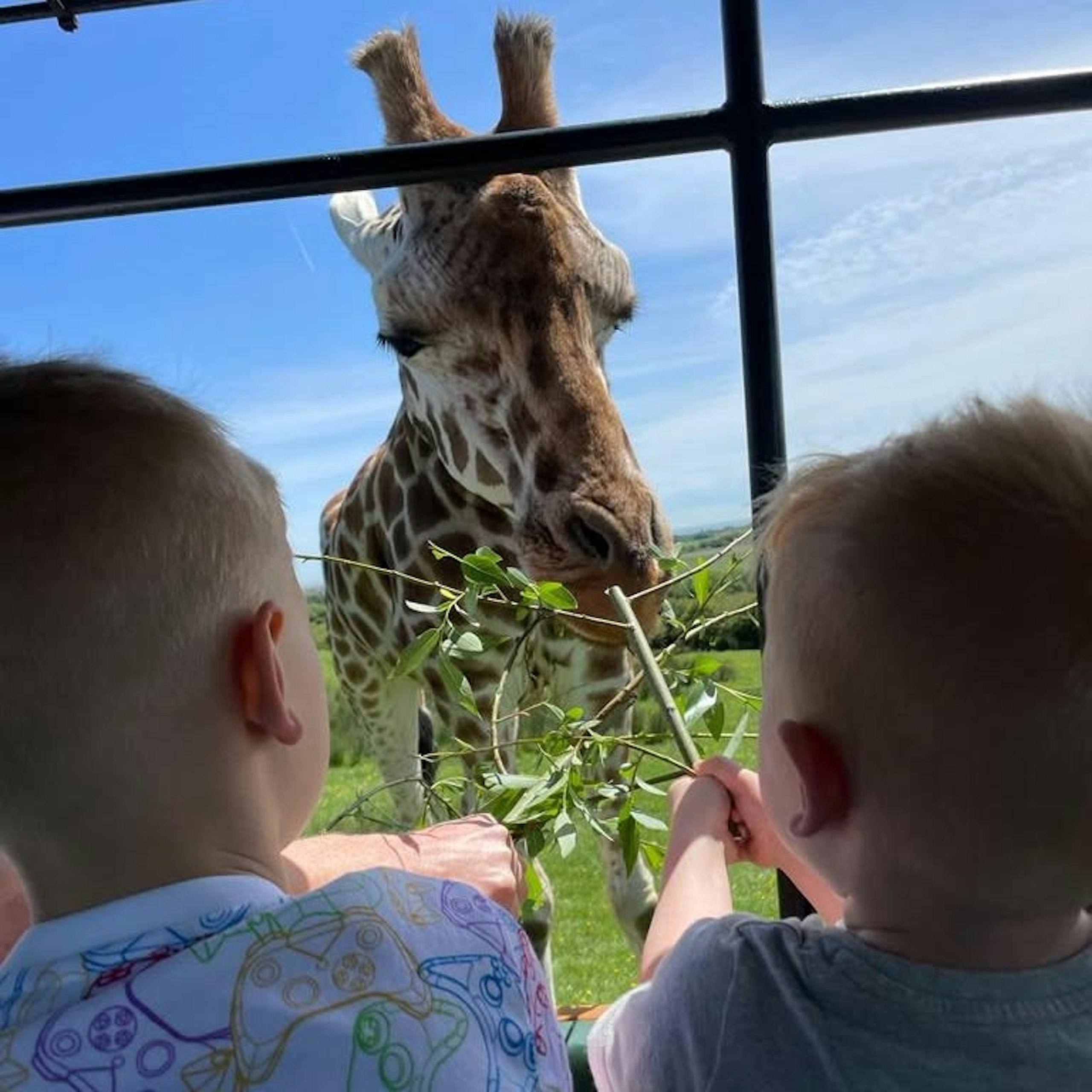 Port Lympne family day out
