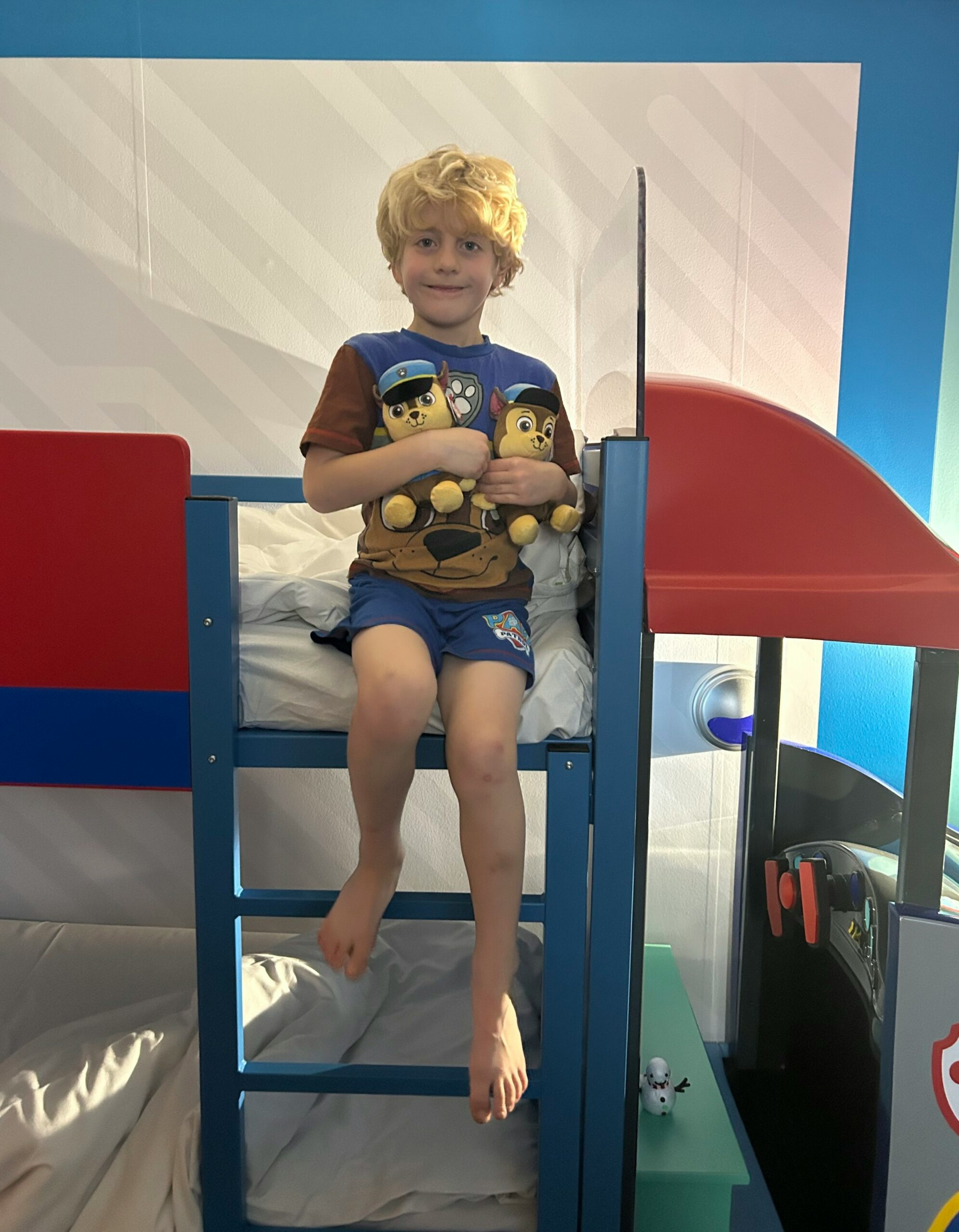 Paw Patrol Chessington World of Adventures