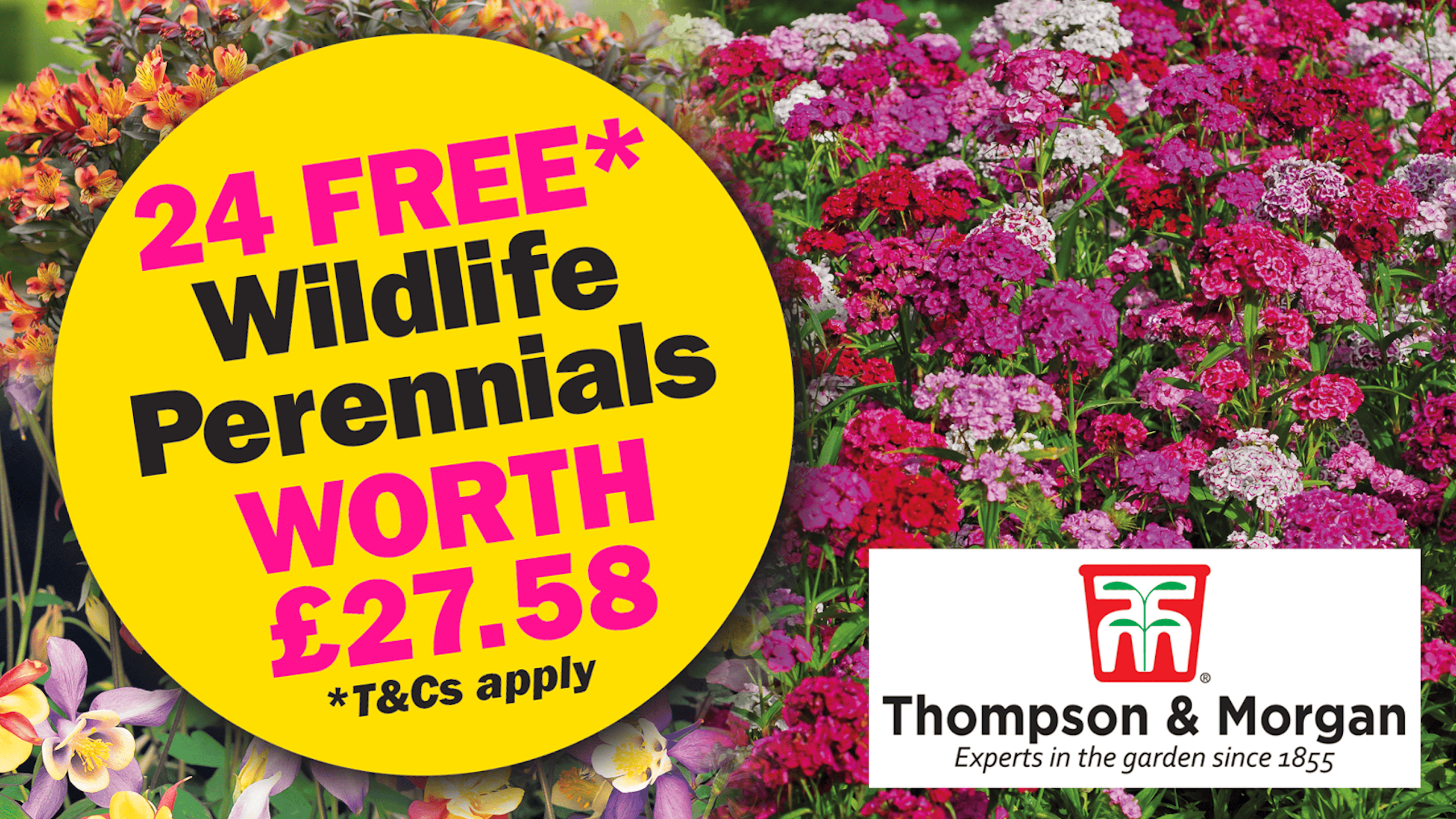 Get 24 free wildlife perennials with Thompson and Morgan today