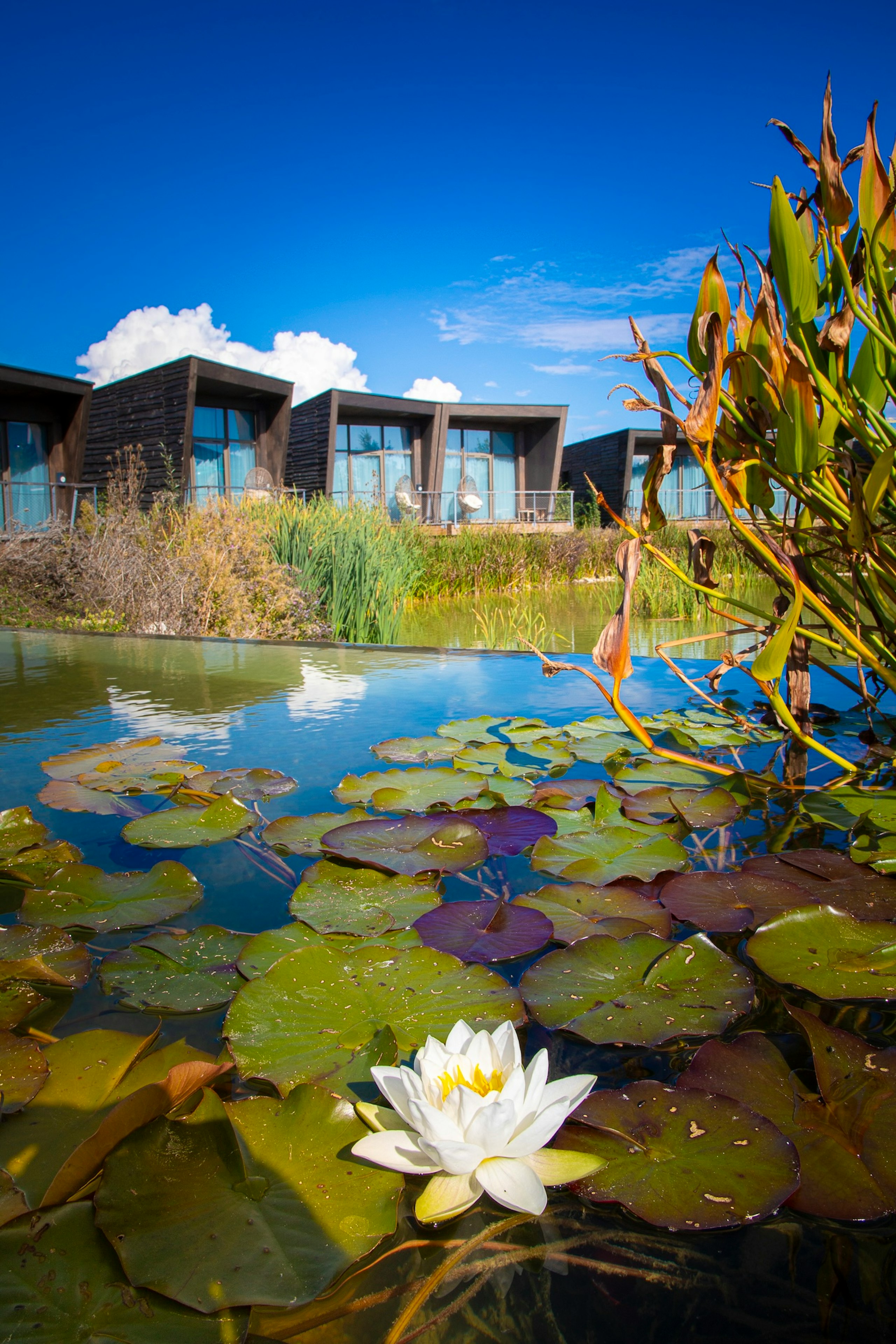 Ecolodgee hotel Futuroscope review
