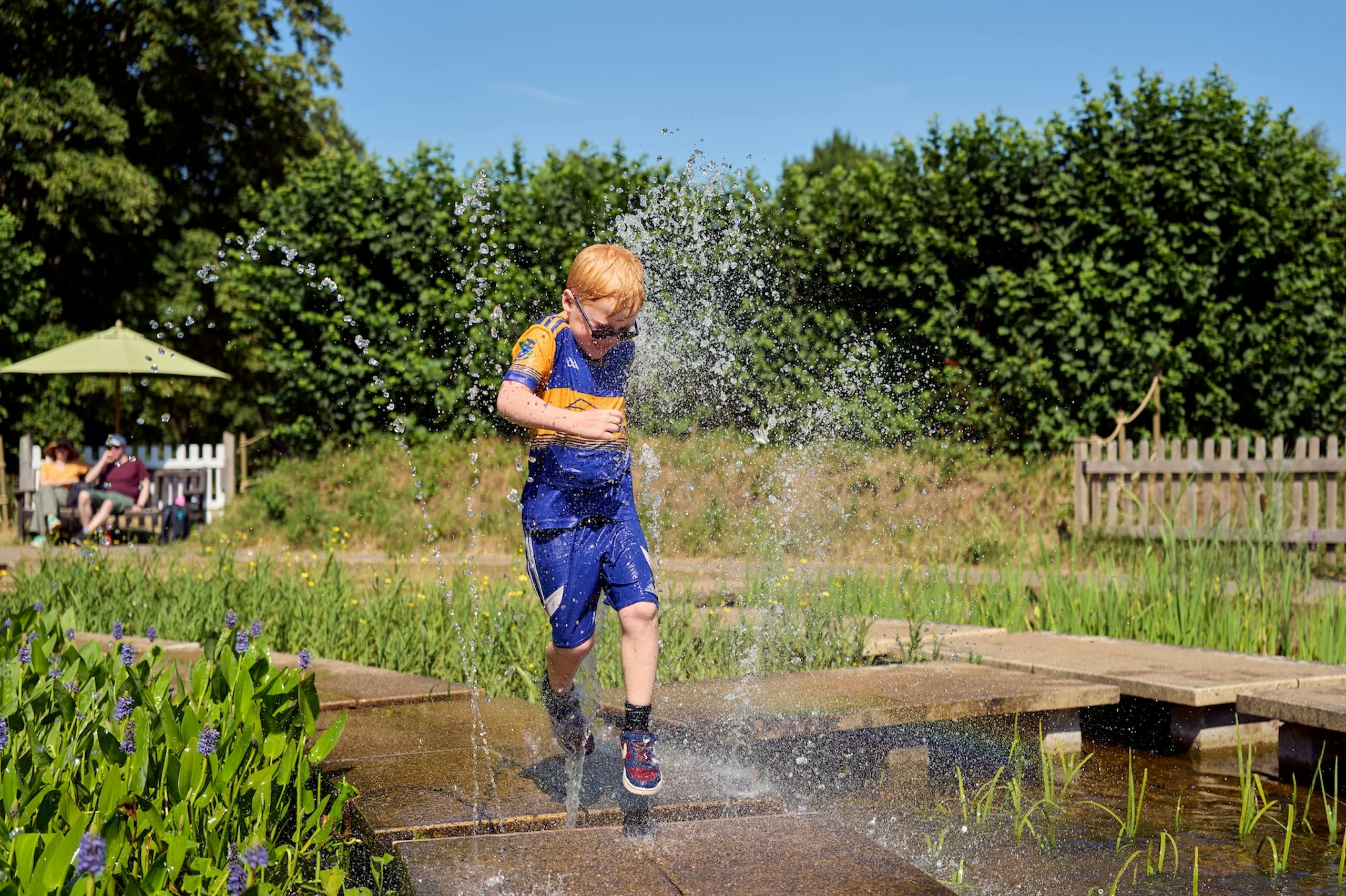 Hever Castle review water maze