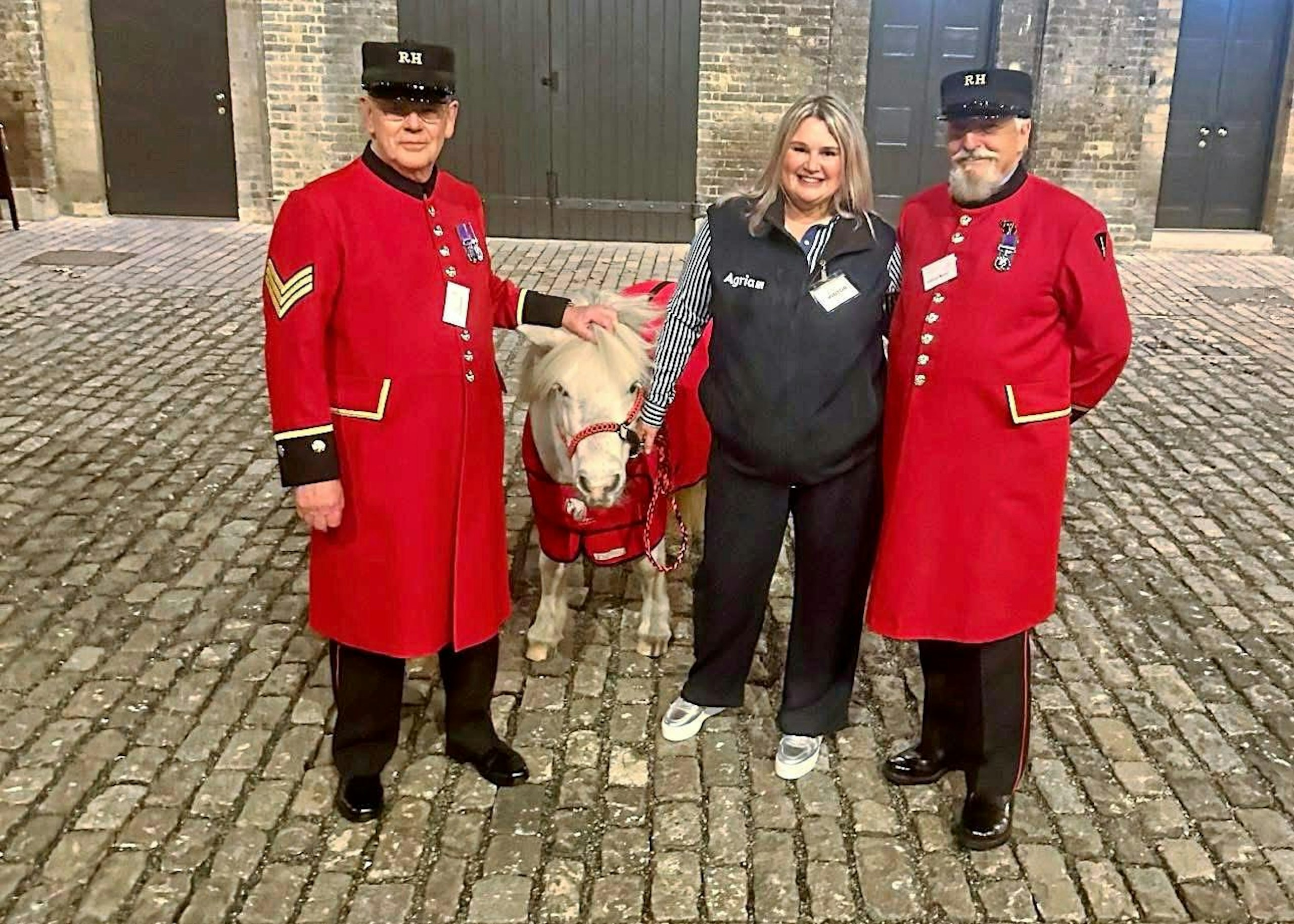 mini horses
