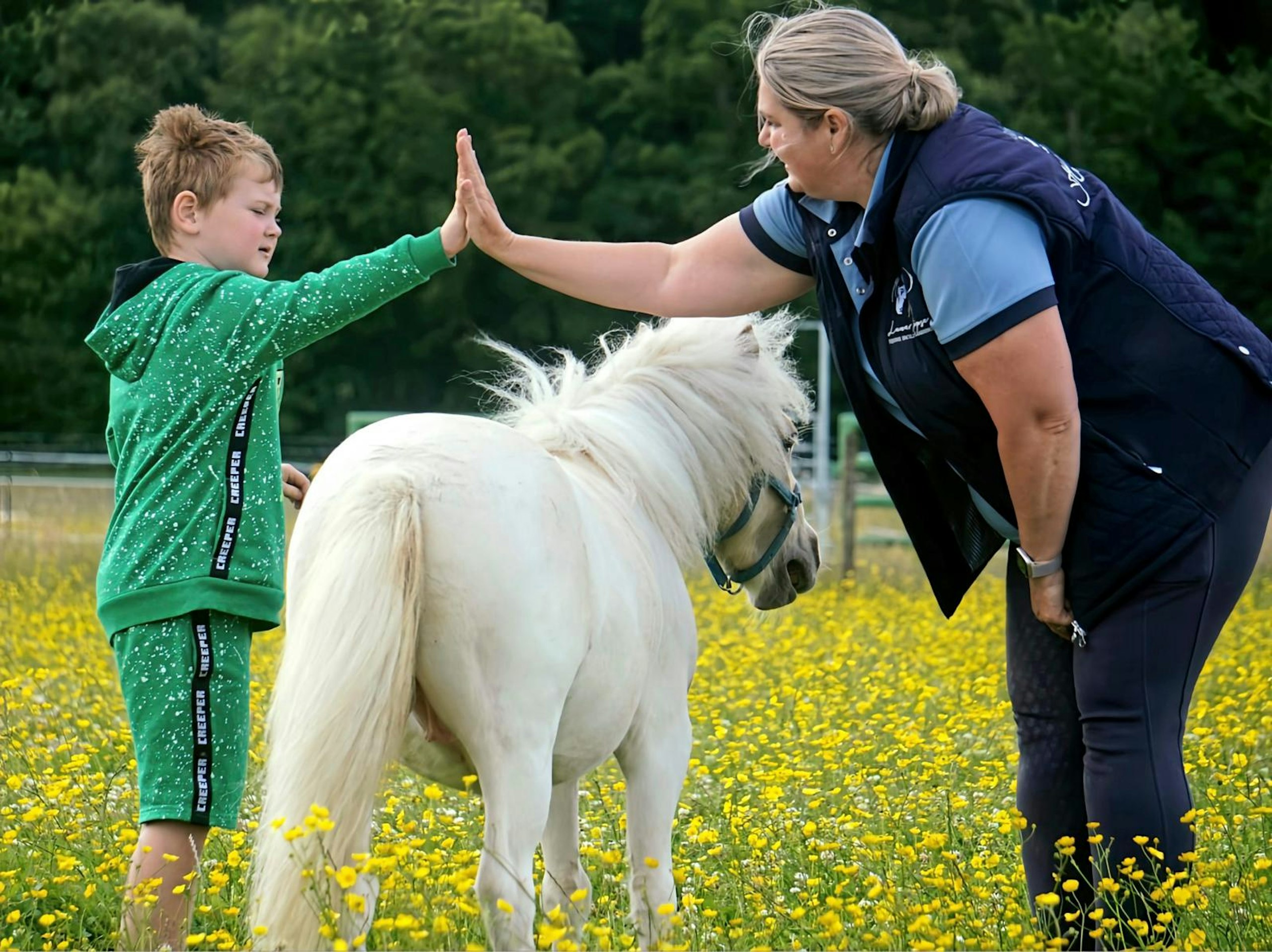 therapy horses