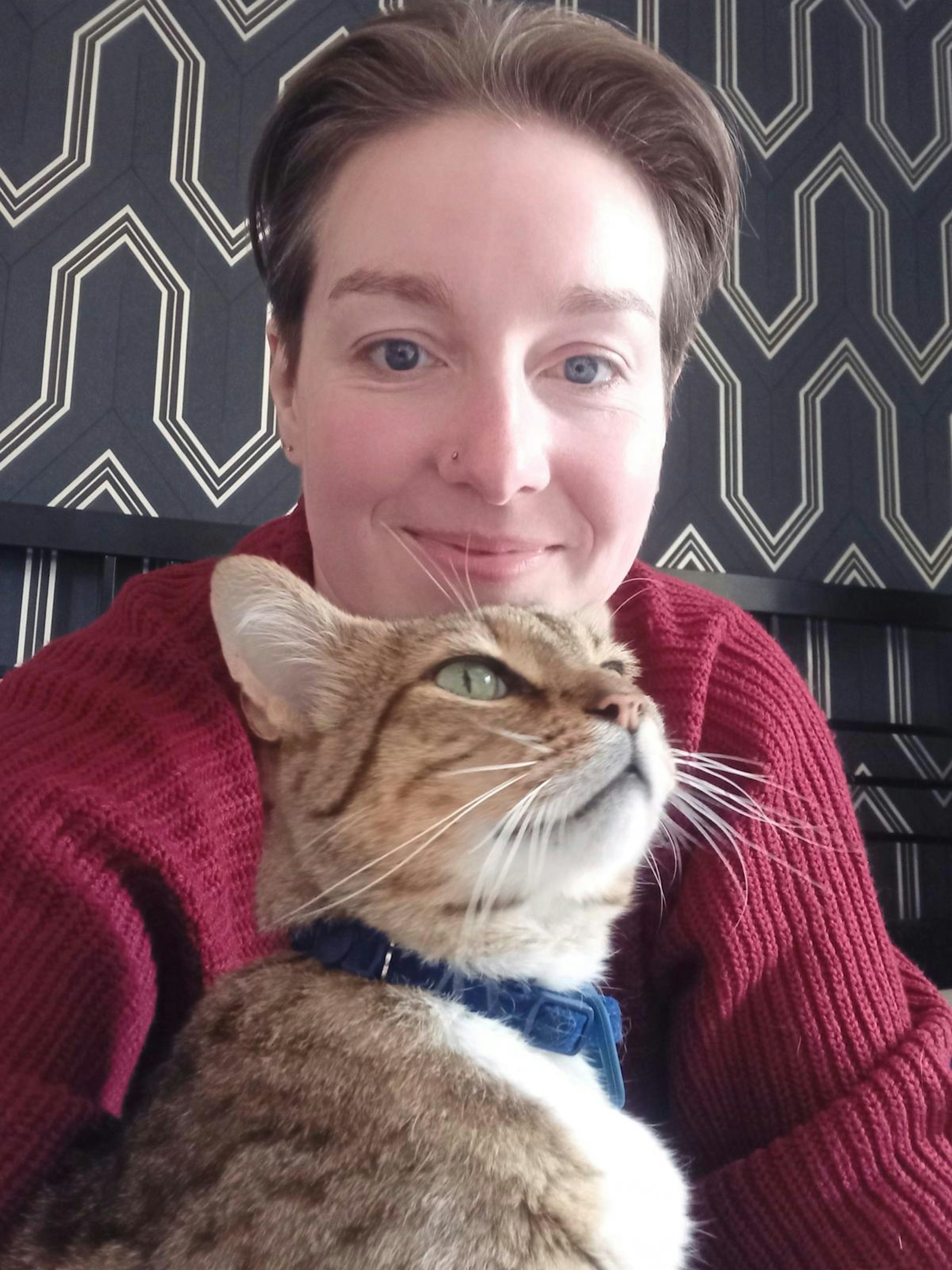 heartwarming missing cat story