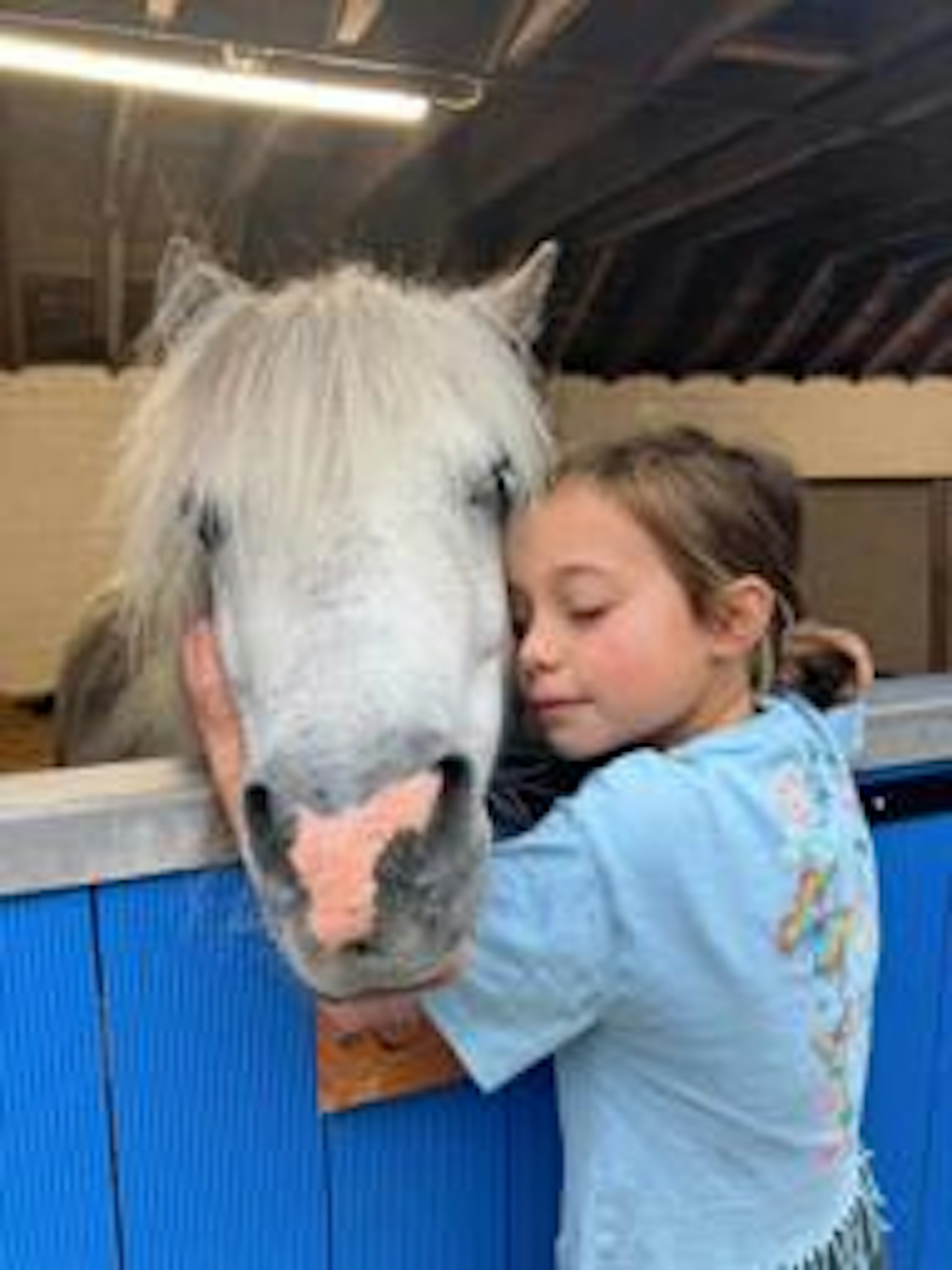 Therapy ponies