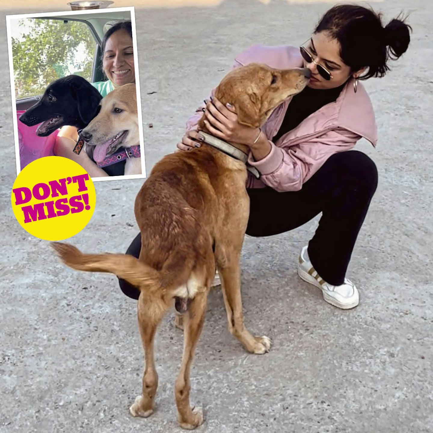 Monica bonding with Rana the dog. Inset, Mum with Tiger and Dolly, 2 of the other dogs