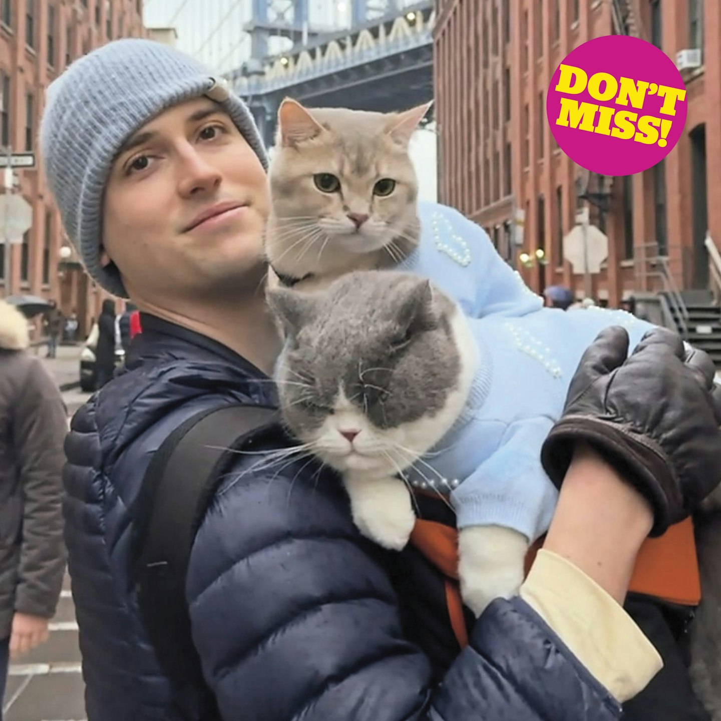 Lazar with his cats Todd and Prince Louie