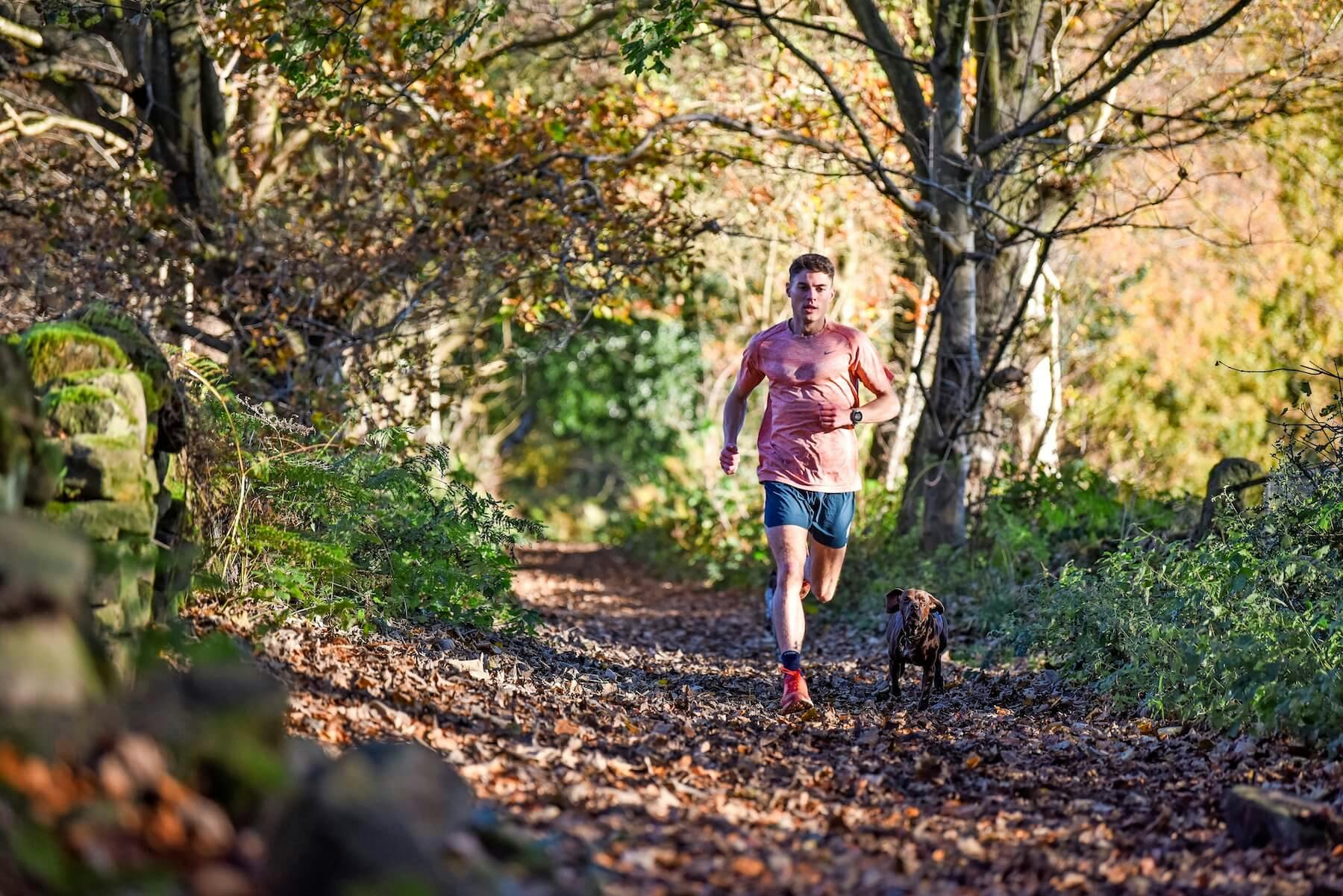 PhilSesemanndogcreditBobAtkins.jpg?format=jpg&quality=80&width=960