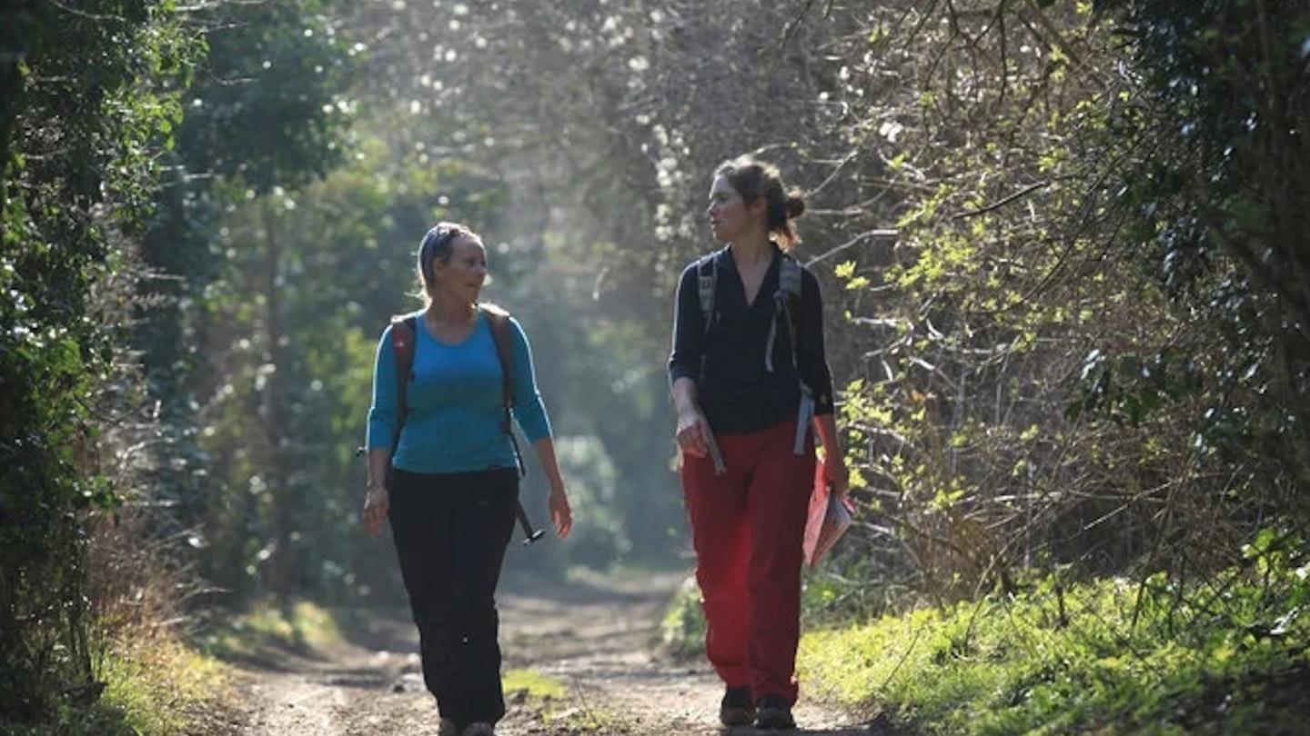 Two people walking through the woods
