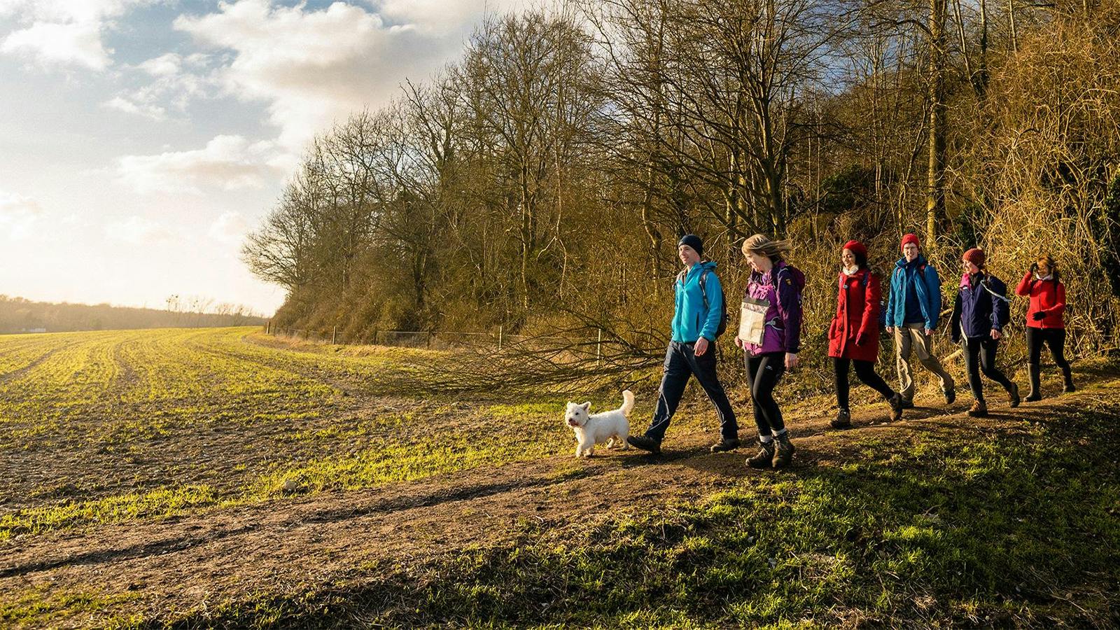 Five ways Ramblers recommends you can protect our paths