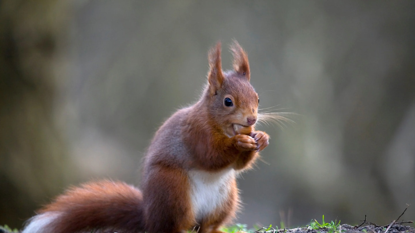 #walk1000miles and Nature