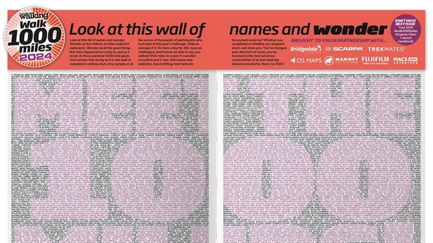 Walk 1000 Completers Wall