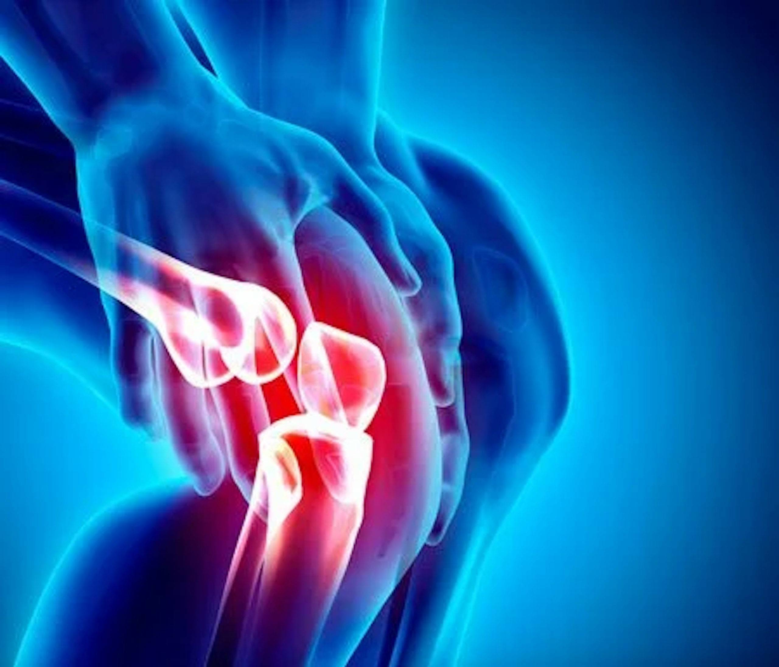knee joint