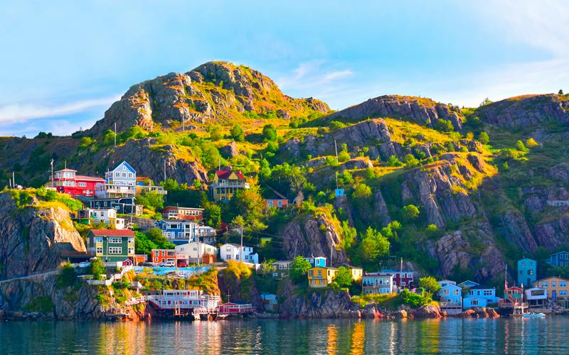 Go wild in Newfoundland - Vimarsana News