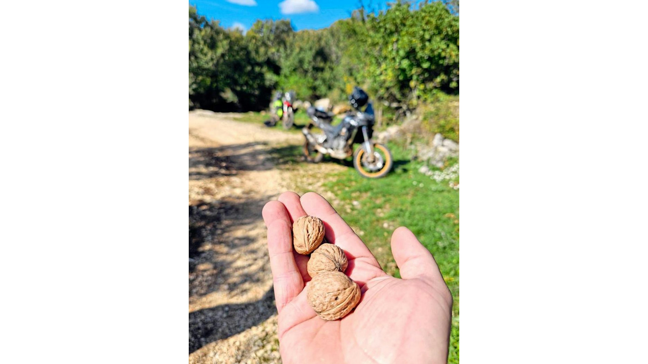 …but few provide you walnuts for the ride onwards, too