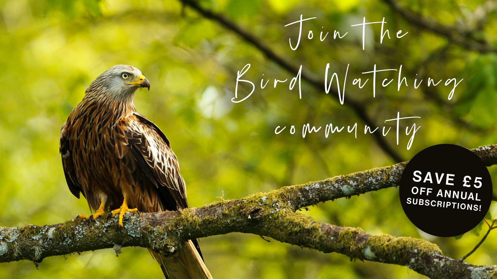 Subscribe to Bird Watching Magazine | Magazine | Bird Watching