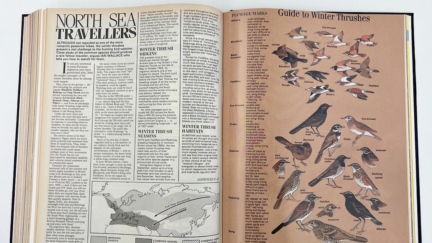 Ian Wallace’s Birding Masterclass – Part 21