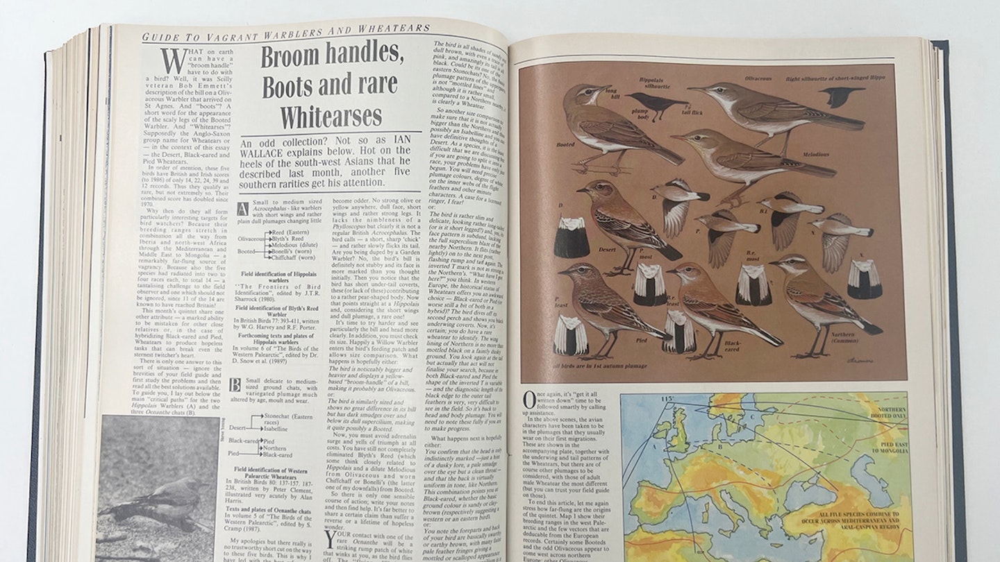 Ian Wallace’s Birding Masterclass – Part 30