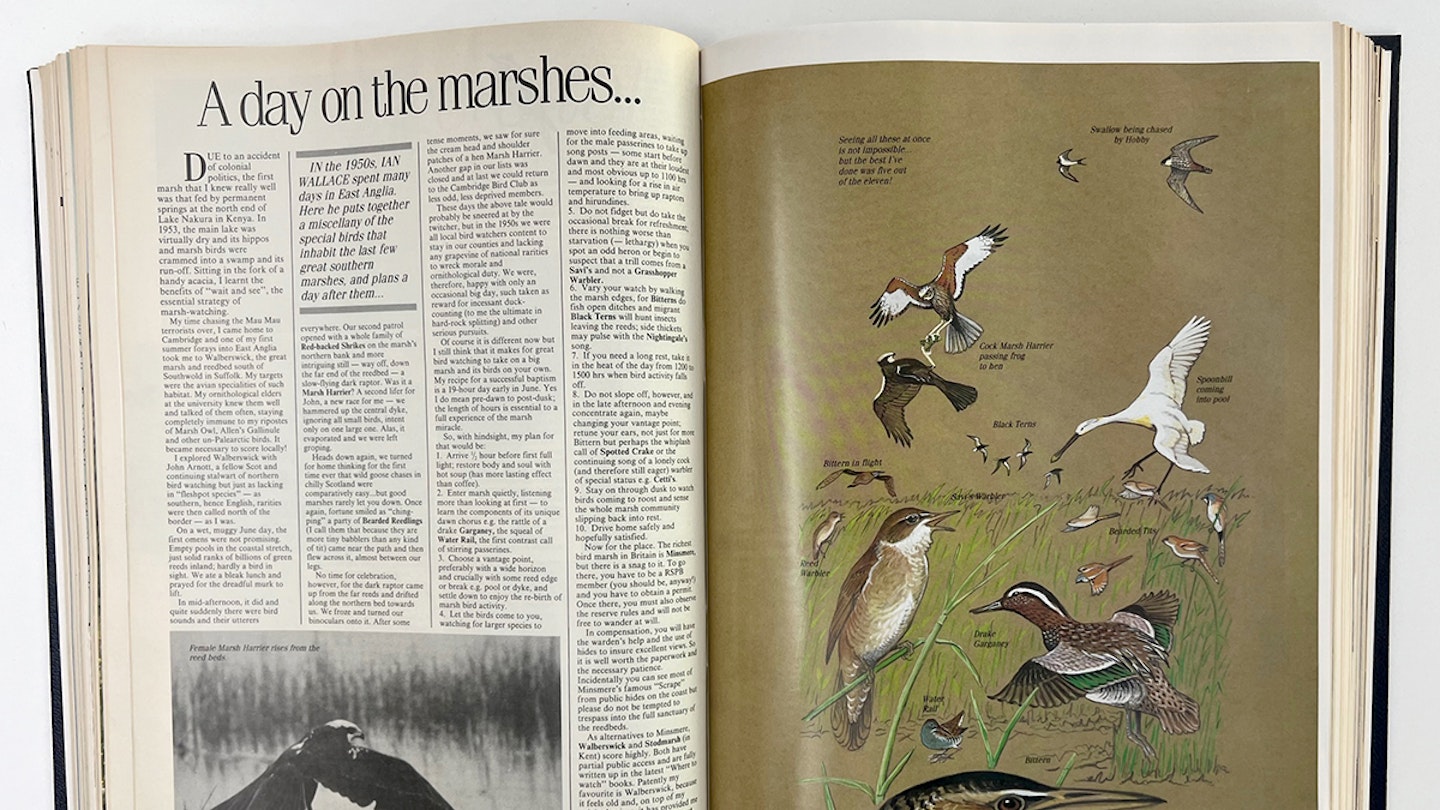 Ian Wallace’s Birding Masterclass – Part 27