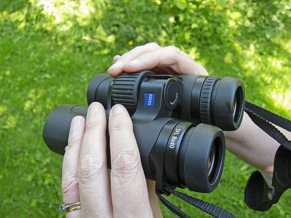 Zeiss SFL 8×40 binoculars review | Gear | Bird Watching