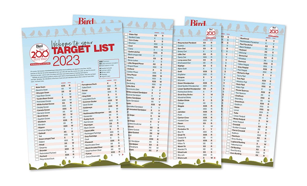 My200BirdYear Target List 2025 Bird Watching