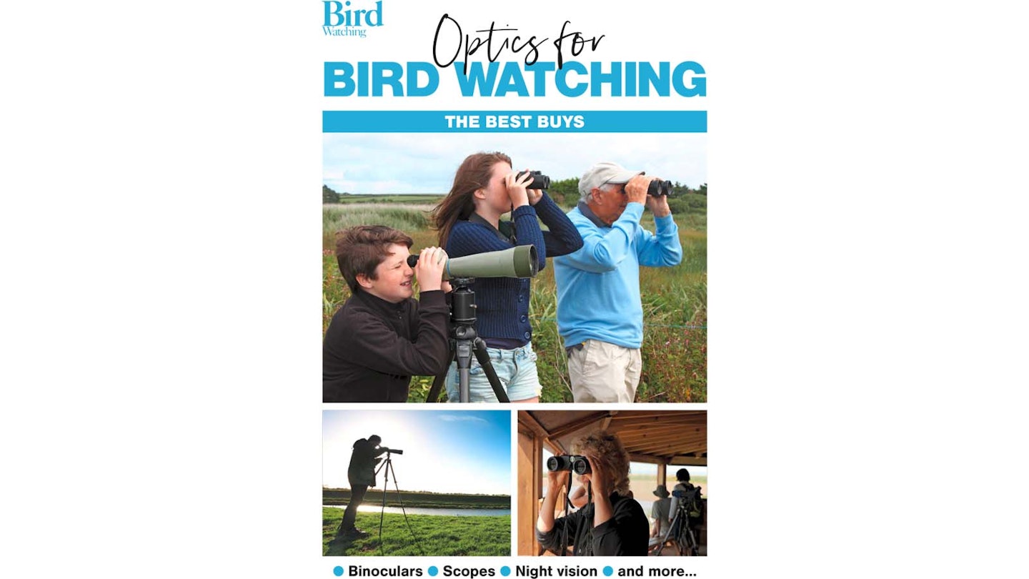 Optics for Bird Watching