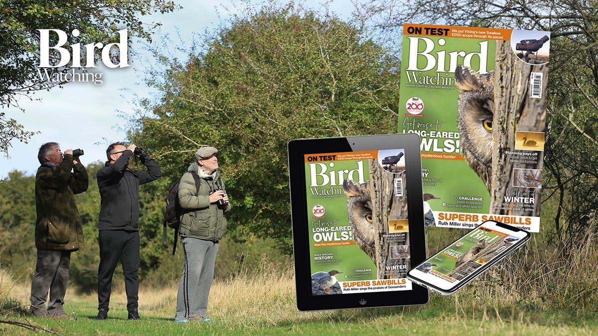 Birdwatching magazine hot sale binocular reviews