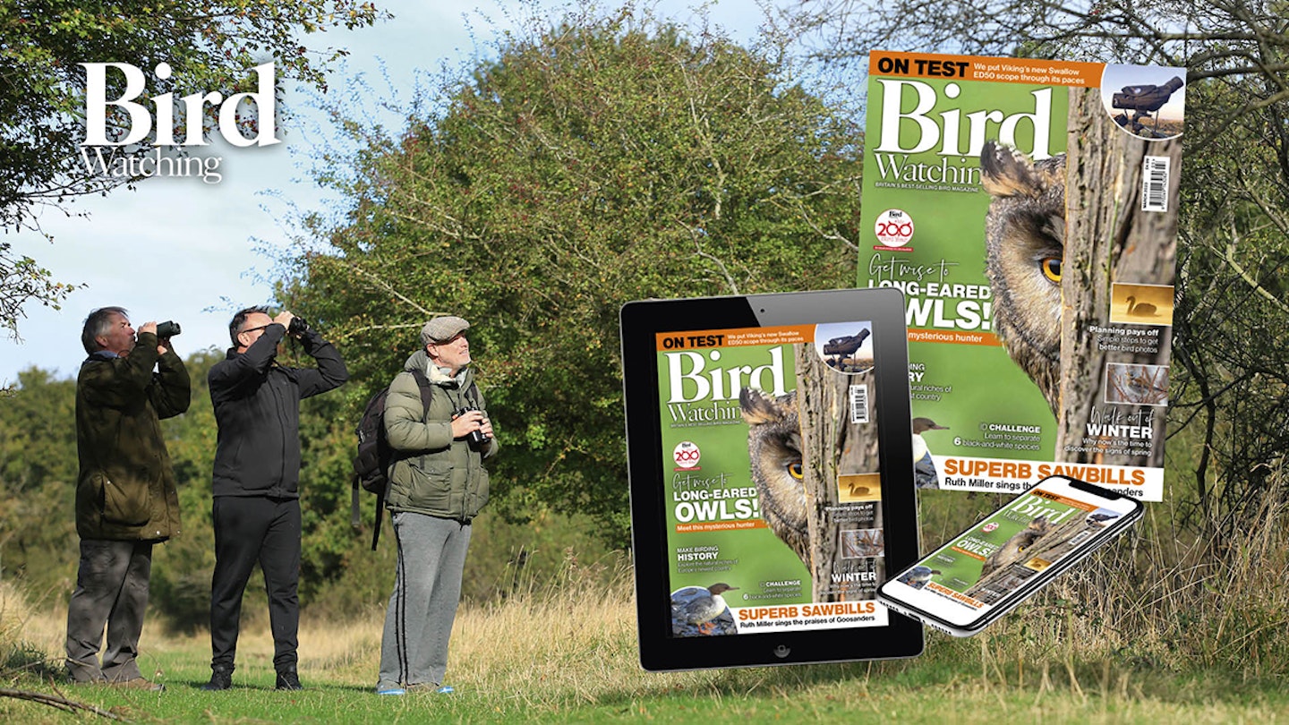 Bird Watching is the UK’s best-selling monthly wild bird magazine