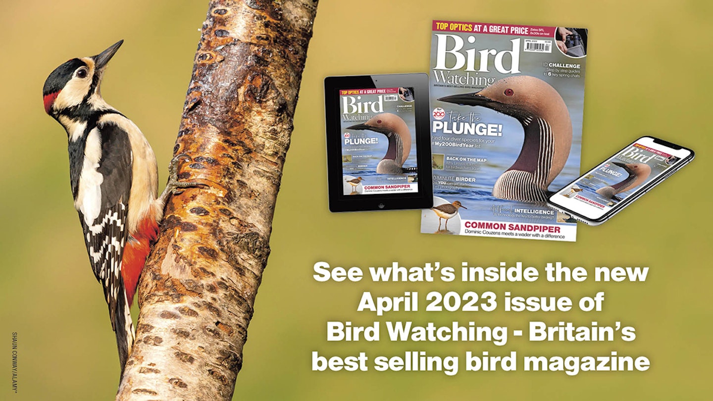 April Issue of Birdwatching