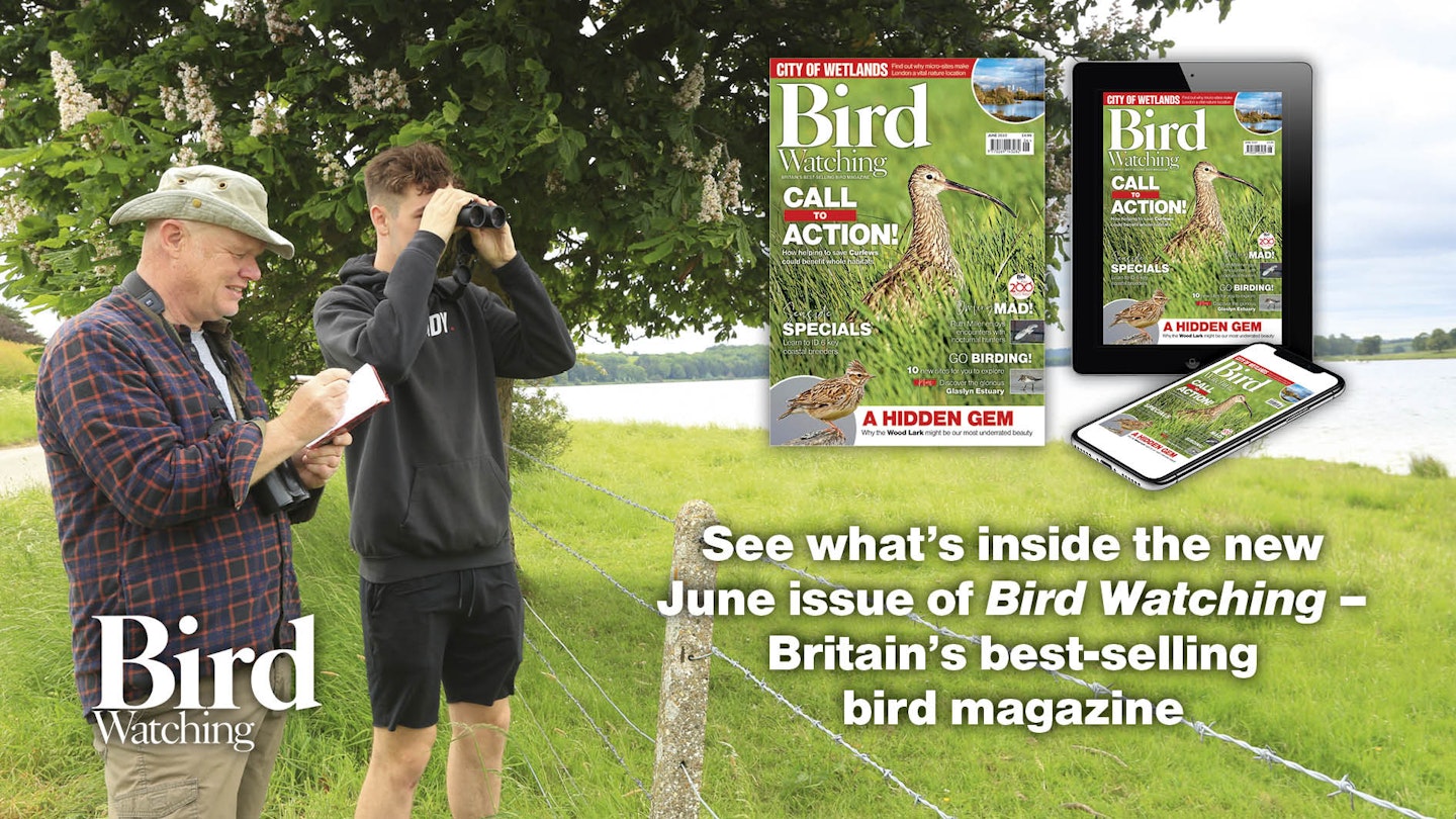 Bird Watching – the new June 2023 issue