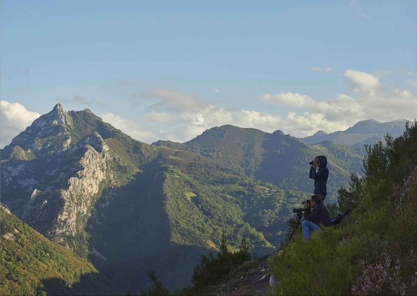 Birdwatching in Asturias - Landscape Nature Birding