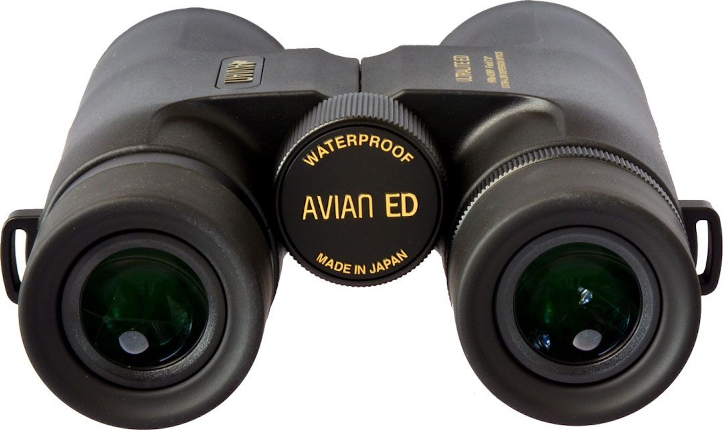 Avian binoculars