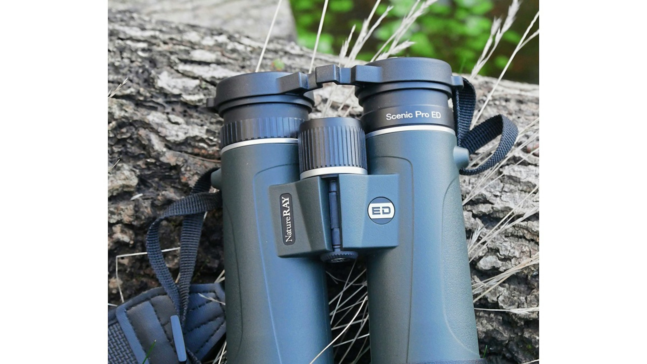 Scenic Pro ED 8x42 binoculars