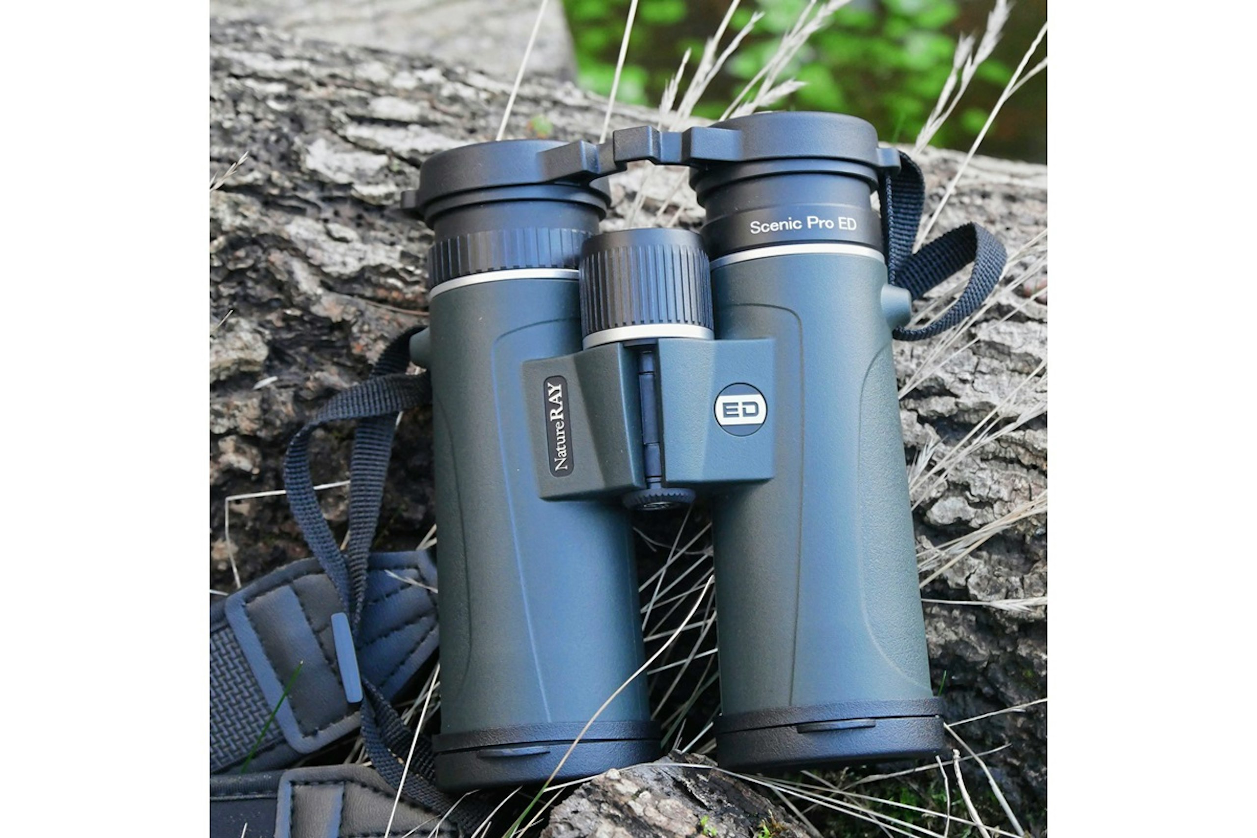 Scenic Pro ED 8x42 binoculars