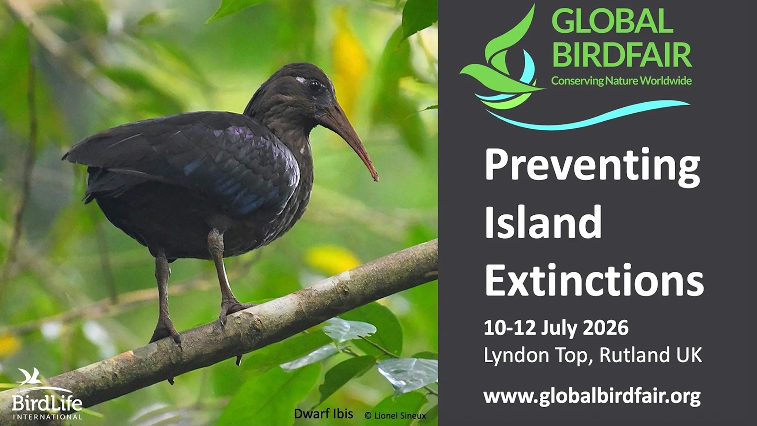 Global Birdfair