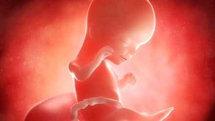 16 Weeks Pregnant Advice Symptoms And What To Expect Pregnancy Mother Baby 16 Weeks Pregnant Advice Symptoms And What To Expect Pregnancy Mother Baby