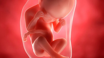 24 Weeks Pregnant Advice Symptoms And What To Expect Pregnancy Mother Baby 24 Weeks Pregnant Advice Symptoms And What To Expect Pregnancy Mother Baby