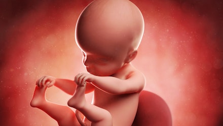 25 Weeks Pregnant Advice Symptoms And What To Expect Pregnancy Mother Baby 25 Weeks Pregnant Advice Symptoms And What To Expect Pregnancy Mother Baby