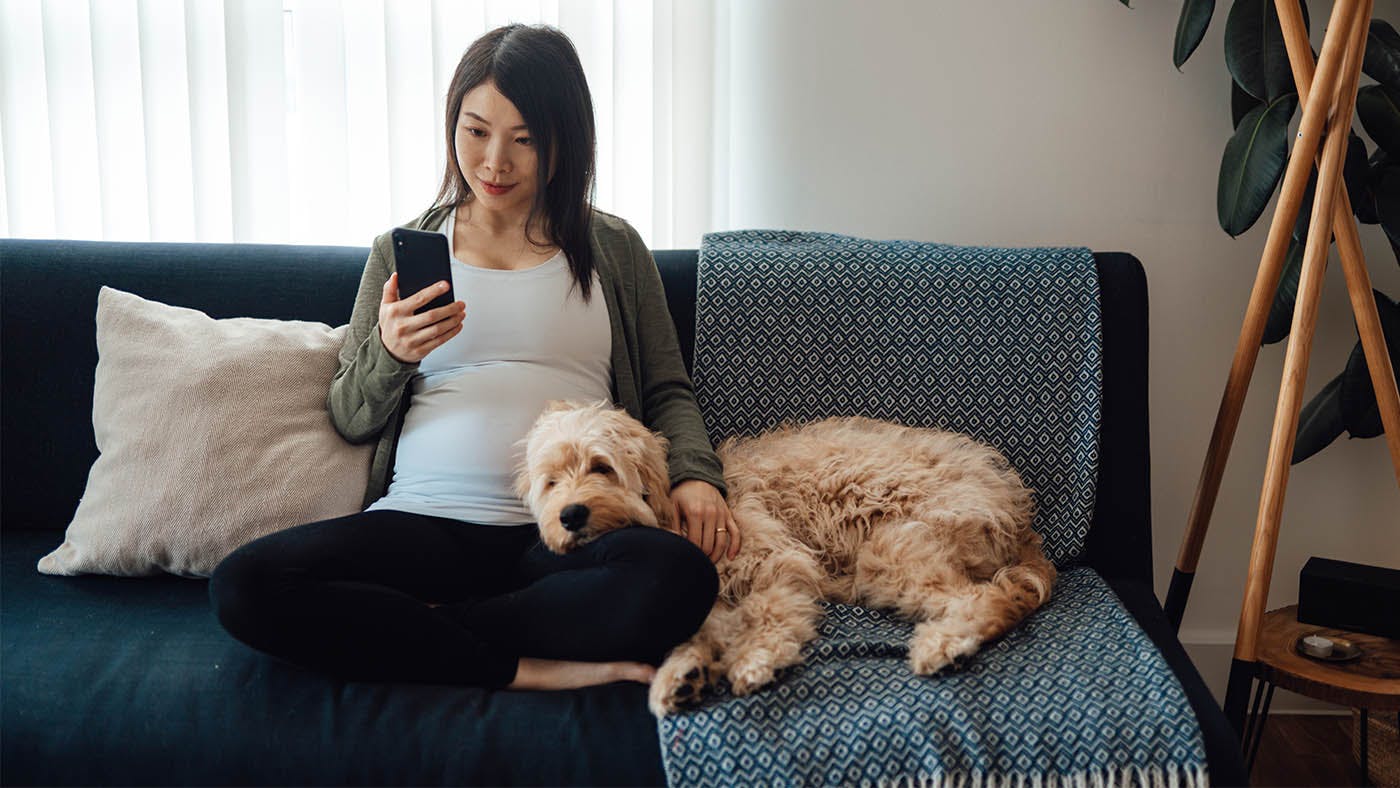 can-a-dog-tell-if-a-woman-is-pregnant