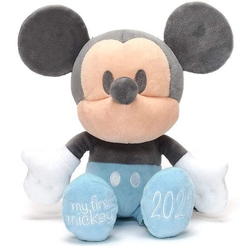 disney born in 2020 teddy