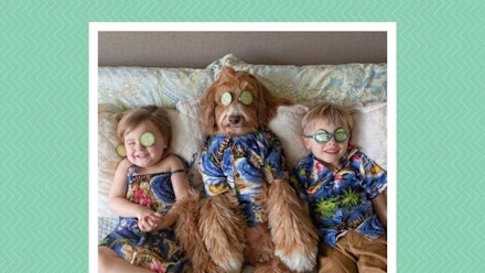 The Cutest Matching Outfits For Your Dog And Baby Reviews Mother Baby The Cutest Matching Outfits For Your Dog And Baby Reviews Mother Baby